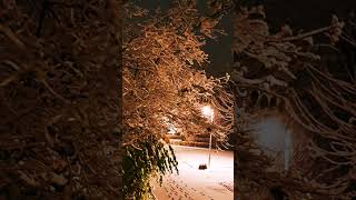 Erste Schnee love снег Schlitten Urlaub Sauerland music [upl. by Viddah]