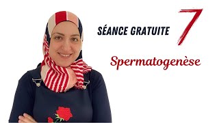 Spermatogenèse Séance 7 gratuite [upl. by Menken]