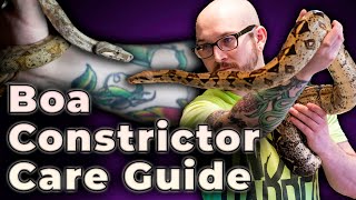 Boa Constrictor Care Guide 2022  Everything You Need To Know [upl. by Warring]