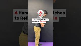 4 Hamstrings Stretches to releive tmj tmd tmjtreatment  physicaltherapy hamstrings [upl. by Tad]