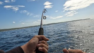 Tathra Wharf fishing amp trolling for Kingys [upl. by Lucienne561]