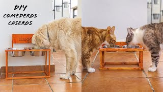 DIY Comederos para perros y gatos caseros y fáciles [upl. by Ardnalac399]