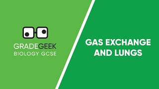 Understanding Gas Exchange and the Lungs  GCSE Biology Revision [upl. by Itak]