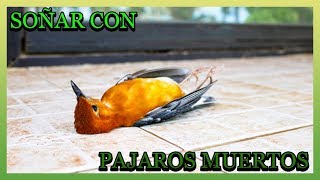 SOÑAR CON PÁJAROS MUERTOS 😥 SOÑAR CON PÁJAROS MURIENDO MUERTOS EN EL AGUA NEGRO QUE REVIVEN [upl. by Assyli]