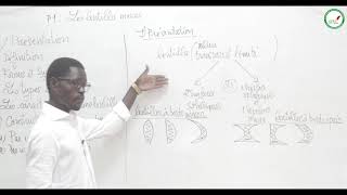 Cours  Troisième  Physique  Chimie  Les lentilles minces  Présentation [upl. by Desmund]