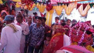 Adivasi marriage sukhsar motanatva [upl. by Chaworth97]