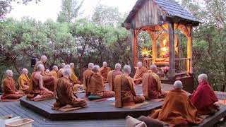 Pali Chanting In The Abhayagiri Buddhist Monastery  Theravada Buddhism [upl. by Annalise]