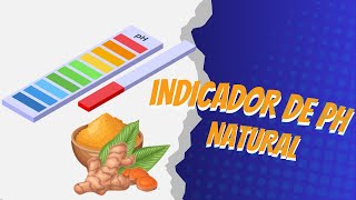 Indicador de pH Natural  Experimento casero [upl. by Thisbe]