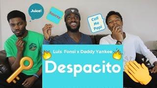 Luis Fonsi  Despacito ft Daddy Yankee Official Reaction [upl. by Derk]