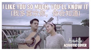 I Like You So Much You’ll Know It 我多喜欢你，你会知道  A Love So Beautiful OST English Cover [upl. by Colwell85]