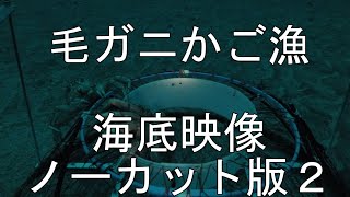 北海道 毛ガニかご漁 海底映像 続ノーカット版 [upl. by Archibaldo]