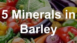 5 Minerals in Barley  Health Benefits of Barley [upl. by Livingstone101]