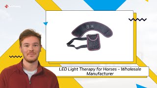 LED Light Therapy for Horses  Wholesale Manufacturer [upl. by Lithea]