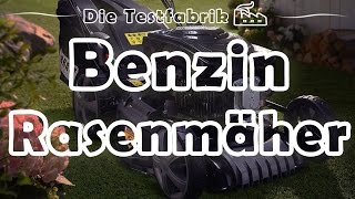 🏡 Benzinrasenmäher Test – 🏆 Top 3 Benzinrasenmäher im Test [upl. by Aynwat]