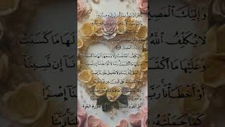 SURAH baqrah last 2 ayat tilawat dinitalimkiduniya duet beutifulvoice islamicprayer [upl. by Brackett898]