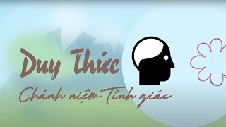 DUY THỨC HỌC minh hoạ  Chánh niệm và Tỉnh giác [upl. by Enyahc911]