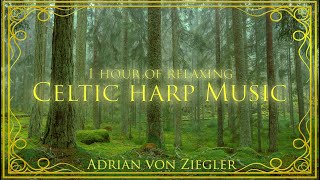 1 Hour of Relaxing Celtic Harp Music by Adrian von Ziegler [upl. by Rinaldo]