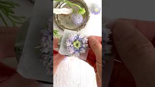 디디스커스 파이핑 앙금플라워떡케이크 didiscus piping flower ✨️ flowercake cakedecoration pipingtechniques [upl. by Agueda15]