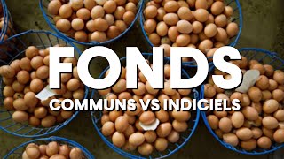 Fonds communs VS Fonds Indiciels [upl. by Ellerihs773]