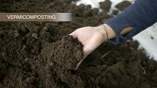 How to do vermicomposting on your farm [upl. by Iives]