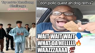 WAIT WAIT WAIT WHAT DA HELLLLL WAAZZZAAAA Don Pollo quest ahh dogTry Not To Headbang [upl. by Eehc]