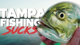 Tampa Fishing Sucks [upl. by Seavey291]