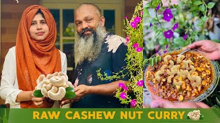 Cashew Nut Curry  Kaju Curry  Raw Cashew Nut Curry Tasty Recipe [upl. by Notlimah]