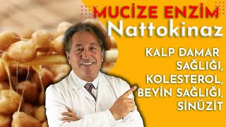 KALP DAMAR SAĞLIĞI KOLESTEROLBEYİN SAĞLIĞISİNÜZİTE İYİ GELEN mucize ENZİM NATTOKİNAZ [upl. by Sybilla617]