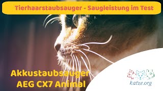 Akkustaubsauger AEG CX7 Animal Test Saugleistung bei Katzenhaaren amp Katzenstreu im Katzenhaushalt [upl. by Annuhsal522]