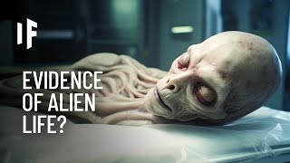 Everything You Need to Know About Aliens [upl. by Trey]