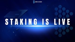 wBKN Staking Process [upl. by Howzell]