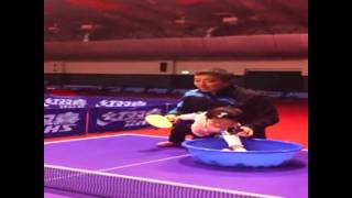 Liu Guoliang teaching his 1 year old daughter Table Tennis [upl. by Aland]