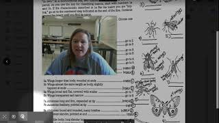 Insect Dichotomous Key Extra Help Video [upl. by Latoye]