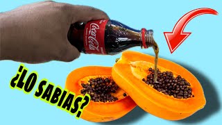 Mezcla una PAPAYA con COCACOLA y te Sorprenderás  100 EFECTIVO [upl. by Sherrie]