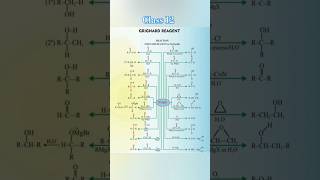 Grignard Reagent  ग्रिगनार्ड अभिकर्मक  chemistry class12 shorts viralshorts trending ytshort [upl. by Malcah326]