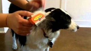 FURminator review by Archie [upl. by Atinahs]