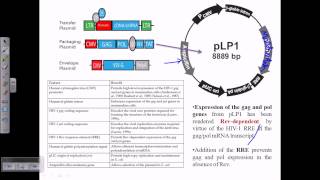 Gene therapy using retrovirus vector [upl. by Butta]