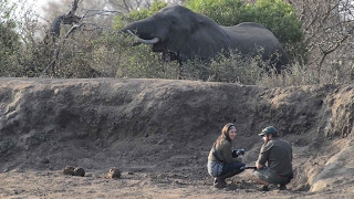 Africa on Foot  Kruger Park Walking Safaris [upl. by Eiahpets]