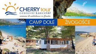 Camp Dole Živogošće  CK Cherry Tour [upl. by Anyale]