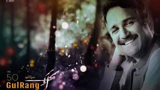 Haroon bacha new song 2018 را جامونه لیونی [upl. by Klarrisa]