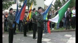 Tyrone Volunteers Day Commemoration 2013 [upl. by Barolet]