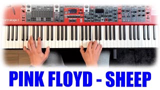 Pink Floyd  Sheep Intro  NORD Stage 3 Hypnotic Performance [upl. by Ettenel]