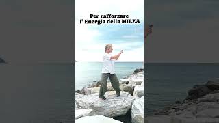 qigong movimento respirazione sports chikung benessere naturopatia artimarziali varese [upl. by Eelanaj]