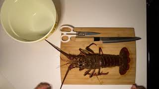 How to Clean and Devein a California Spiny Lobster [upl. by Brinkema980]