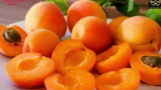 English”Apricot Fruit  Health and Journey” [upl. by Mairam]