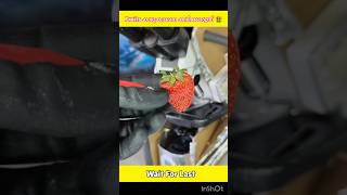 Strawberry Microscopeൽ വെച്ച് നോക്കിയപ്പോൾ 🤮 shortvideos m4tech mrzthoppi [upl. by Ailongam827]