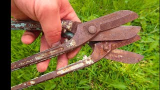 Two Rusty Metal ShearsTin Snips 10 and 12 Restoration [upl. by Renfred]