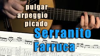 Pulgar  Arpeggio  Picado  Farruca by Victor Monge “Serranito”  Tabbed Falsetas [upl. by Doris65]