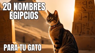 20 NOMBRES EGIPCIOS para GATOS [upl. by Enytsirhc]