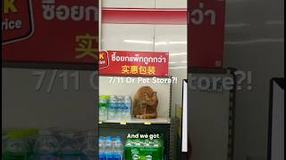 Only in Thailand 😻 Is This a 711 or a Pet Store 🐾 [upl. by Sower]